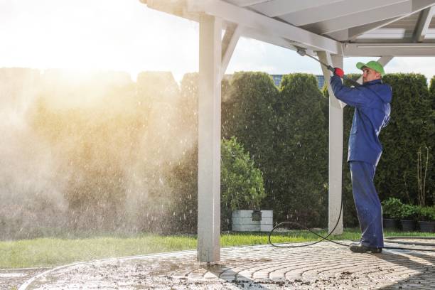 Best Residential Exterior Washing  in Santa Paula, CA